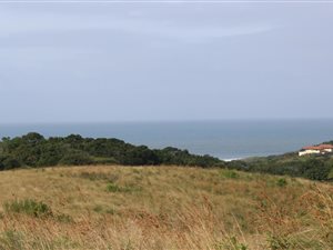 1561 m² Land available in Port Edward