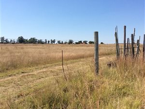 5820 m² Smallholding in Polokwane Central