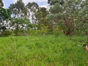 4000 m² Land available in Crestholme