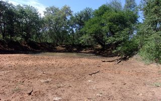 800 ha Land available in Gravelotte
