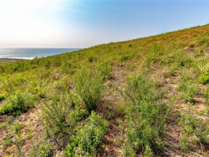 1568 m² Land available in Ballito