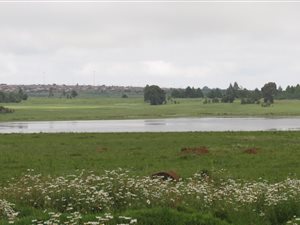 2855 m² Land available in Belfast