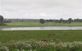 2855 m² Land available in Belfast