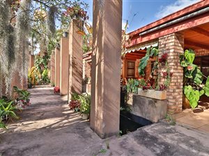 9 Bed House in White River