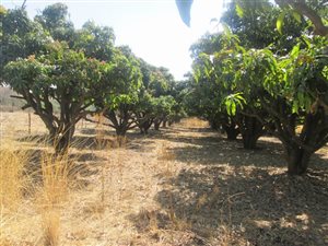 49 ha Land available in Pretoria North
