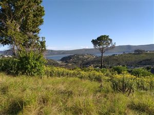1786 m² Land available in Eastford Glen