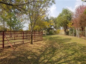 8 ha Farm in Klipriver