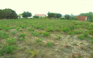 1487 m² Land available in Fisherhaven