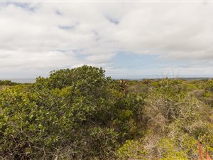 2.7 ha Land available in Springerbaai Eco Estate