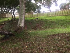 534 m² Land available in Moseley