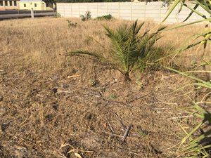 476 m² Land available in Hopefield