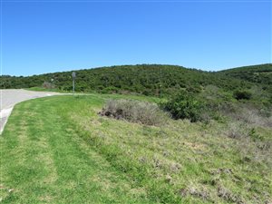 801 m² Land available in Port Alfred