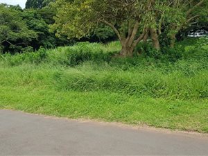 1615 m² Land available in Mtunzini