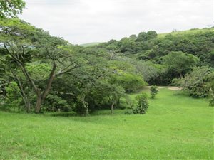 8177 m² Land available in Umtentweni