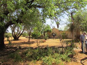 81 ha Farm in Groot Marico