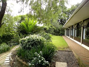 3 Bed House in Bonnie Doone