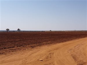 Farm in Alldays