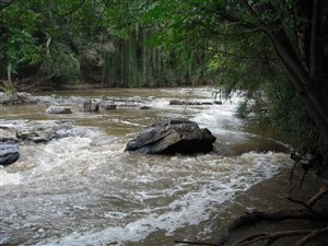 2.9 ha Land available in Hennops River