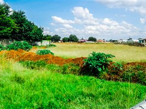 1191 m² Land available in Riversdale