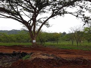 996 m² Land available in Nelspruit Central