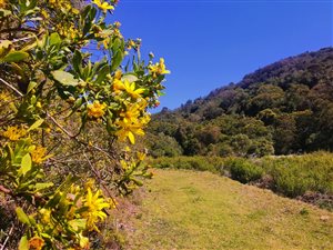 15.4 ha Farm in Victoria Bay