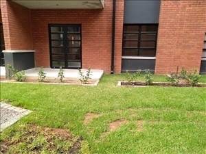 1 Bed Apartment in Melrose North