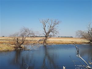 269 ha Farm in Bultfontein