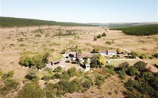 105 ha Farm in Greytown