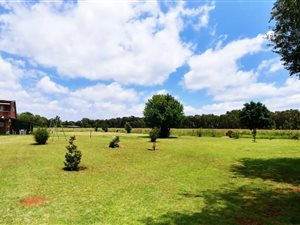 8.6 ha Farm in Zesfontein AH