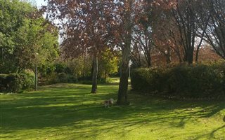 3 Bedroom Cluster in Magaliessig