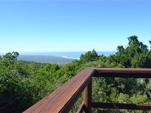 25 ha Farm in Seaview