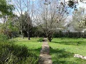 843 m² Land available in Greyton