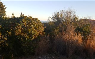 752 m² Land available in Dana Bay