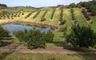8 ha Farm in Munster