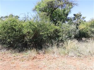 958 m² Land available in Seasons Lifestyle Estate