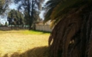 1 ha Land available in Sandown
