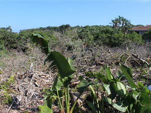 1054 m² Land available in Leisure Bay