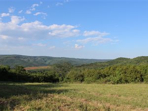 46 ha Farm in Hazyview
