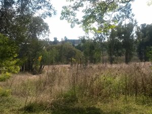 2.1 ha Land available in Glen Austin AH