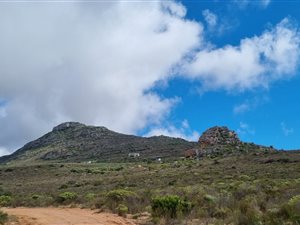992.9 ha Farm in Graafwater