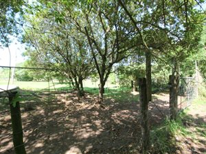 2520 m² Land available in Bathurst and Surrounds