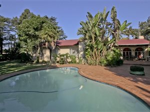 4 Bed House in Ruiterhof