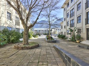 1 Bed Apartment in Rondebosch