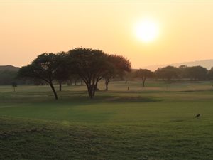 1500 m² Land available in Pebble Rock
