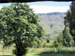 21 ha Farm in Kamberg