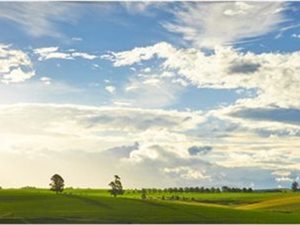 4358 m² Land available in Rosetta