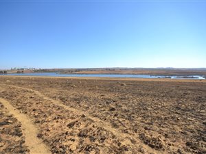 147 ha Land available in Doornkop