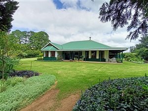 11 ha Farm in Impendle