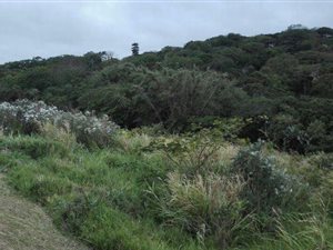 20.2 ha Land available in Izotsha