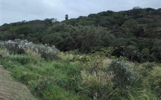 20.2 ha Land available in Izotsha